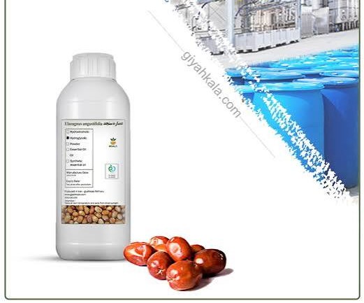 عطر گرمی سنجد اعلا Oleaster رایحه میوه‌ای، ملایم و طبیعی اورجینال خرید مستقیم با ضمانت اصالت