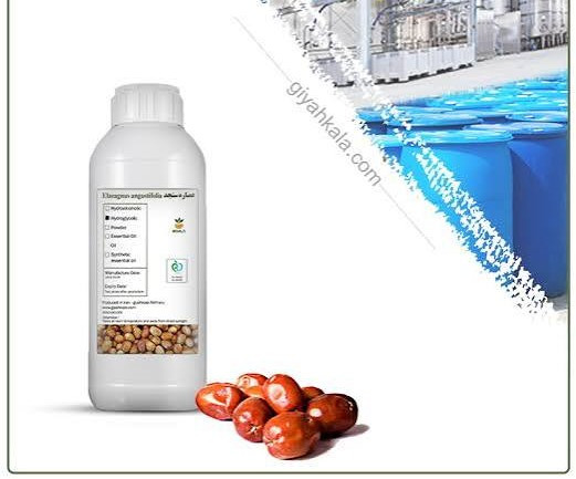 عطر گرمی سنجد اعلا Oleaster رایحه میوهای، ملایم و طبیعی اورجینال خرید مستقیم با ضمانت اصالت